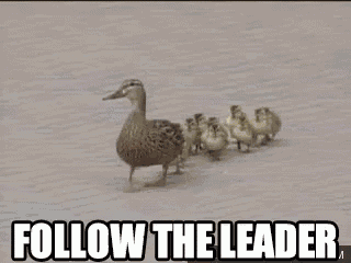 Follow The Leader GIF