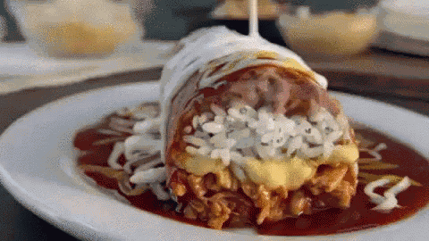 Food Burrito GIF