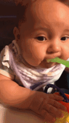 Food What The Heck GIF