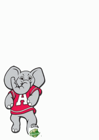 Football Alabama GIF