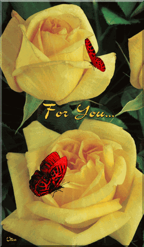For You GIF