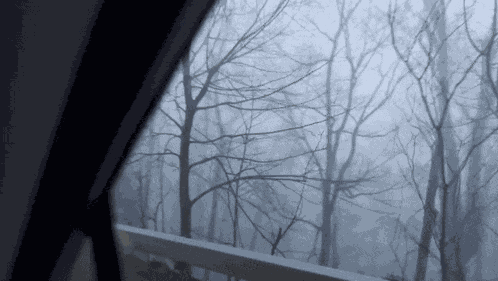Forest Fog Foggy Forest GIF