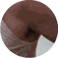 Forrest Gump Wave Sticker