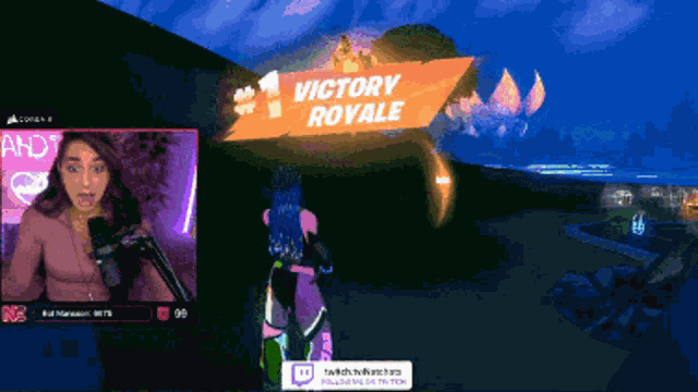Fortnite Fortnite Victory Royale GIF