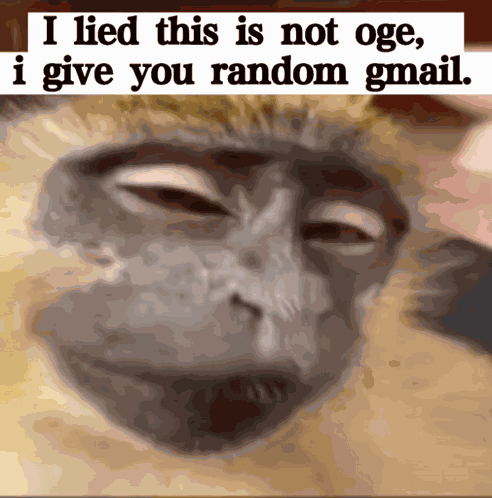 Fortnite Lol GIF