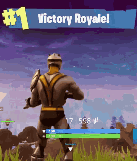 Fortnite Victory GIF