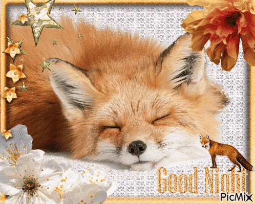 Fox Goodnight GIF
