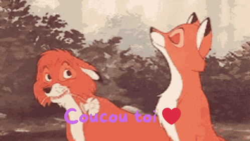 Fox Love GIF