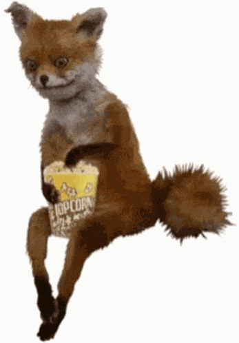 Fox Popcorn GIF