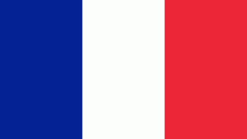 France French Flag GIF