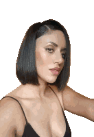 Francoyasociados1956png Sticker