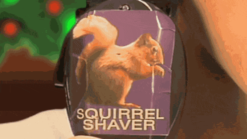 Fred Figglehorn Squirrel GIF