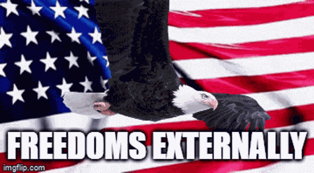 Freedom Freedoms GIF