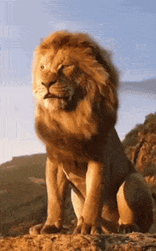 Freedom GIF
