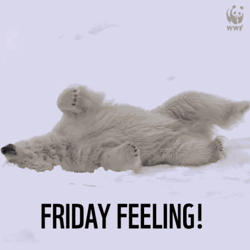 Freezing Friday GIF