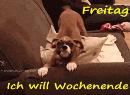 Freitag? Ich Will Wochenende GIF