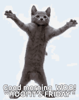 Friday GIF