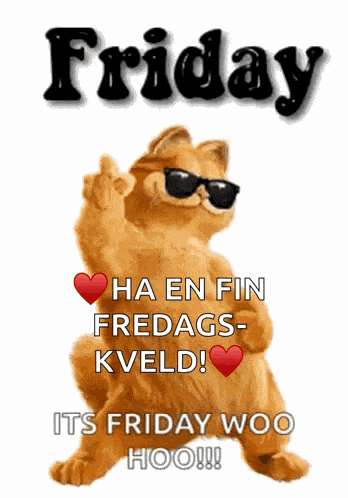 Friday Good Morning Friday GIF