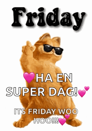 Friday Good Morning Friday GIF