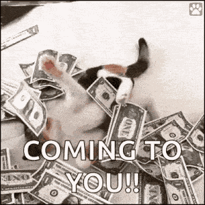 Friday Pay Day GIF