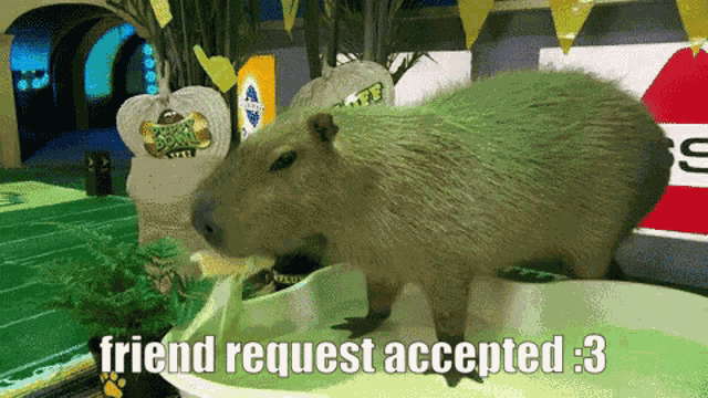Friend Request Accepted Accepted GIF