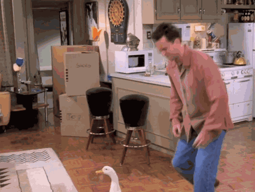 Friends Friendstv GIF