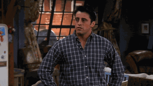 Friends Joey GIF