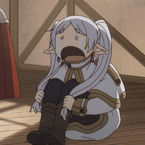Frieren Cry Frieren Beyond Journey'S End GIF