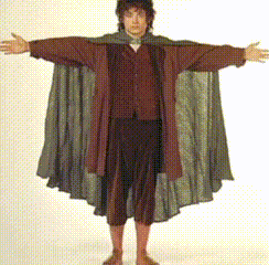 Frodo Froyo GIF