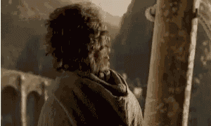 Frodo Lotr GIF
