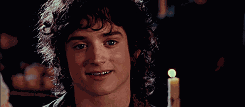Frodo Oh No Frodo GIF