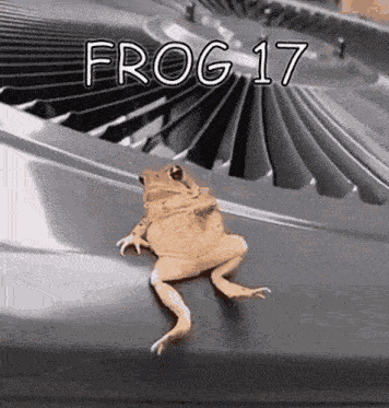 Frog 17 GIF