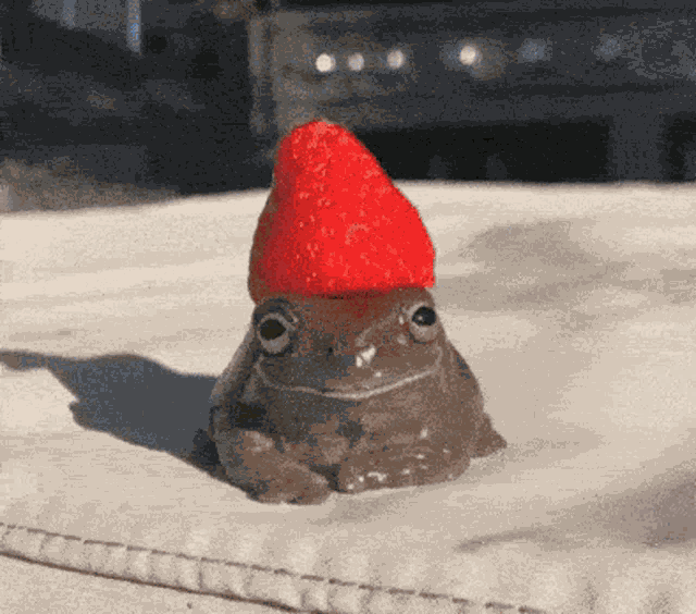 Frog Cute GIF