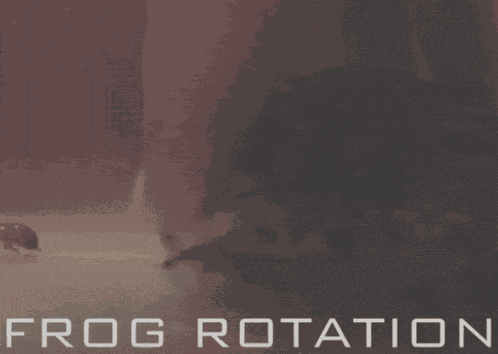 Frog Frogs GIF