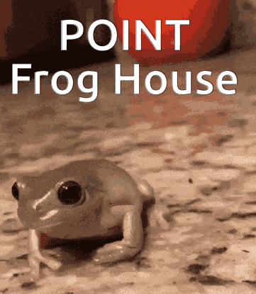 Frog Point Frog House GIF