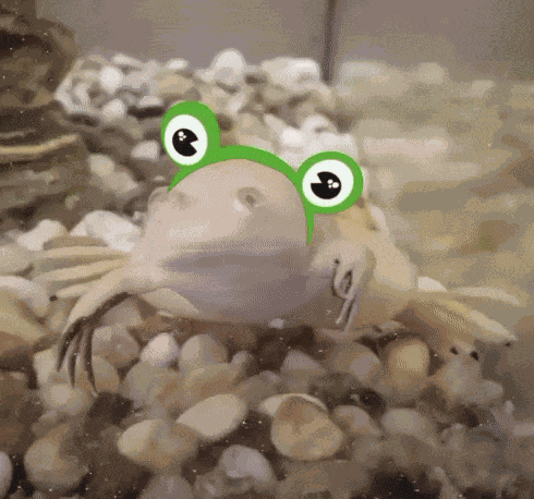 Frog The Froggiest Frog GIF