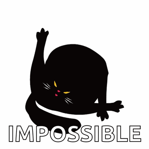 Frugit Official Cat GIF