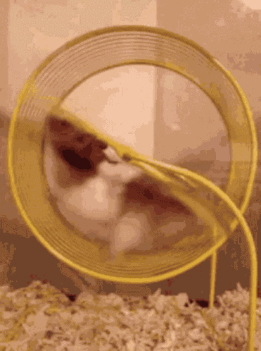 Frustration Me GIF