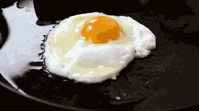 Frying Egg Emily Kim GIF