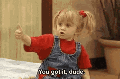 Full House You Got It Dude GIF