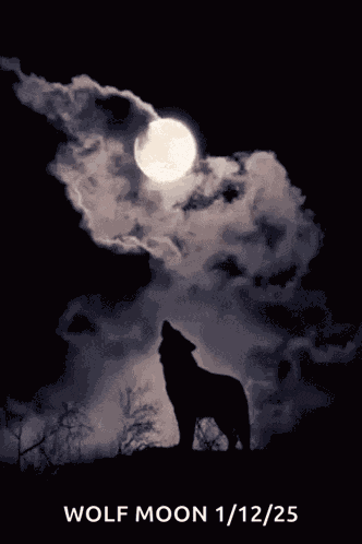 Fullmoon GIF