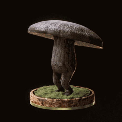 Fungi36 Fungiblefungi36 GIF