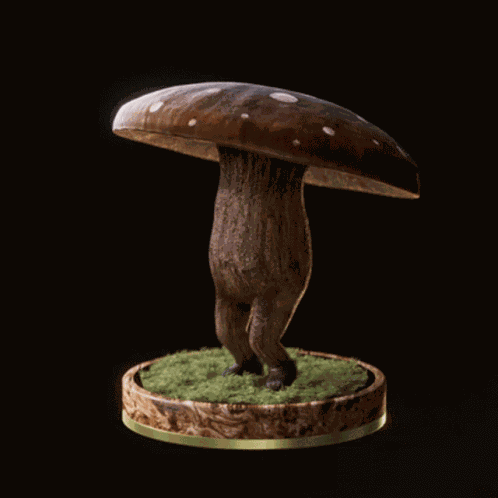Fungi63 Fungiblefungi63 GIF
