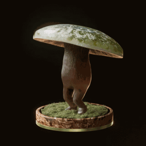 Fungi70 Fungiblefungi70 GIF