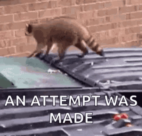 Funny Animals Fail GIF