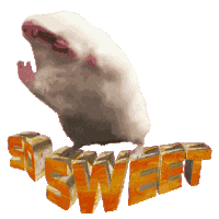 Funny Animals Funny Rodent Sticker