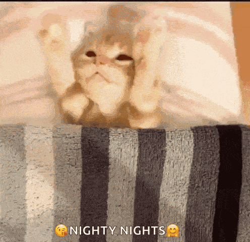 Funny Animals Good Night GIF
