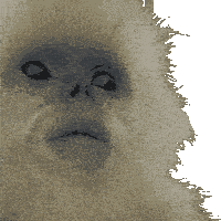 Funny Animals Joke Sticker