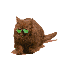 Funny Animals Joke Sticker