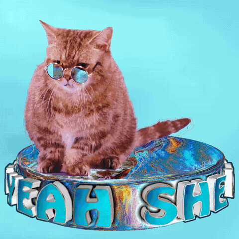 Funny Animals Joke GIF